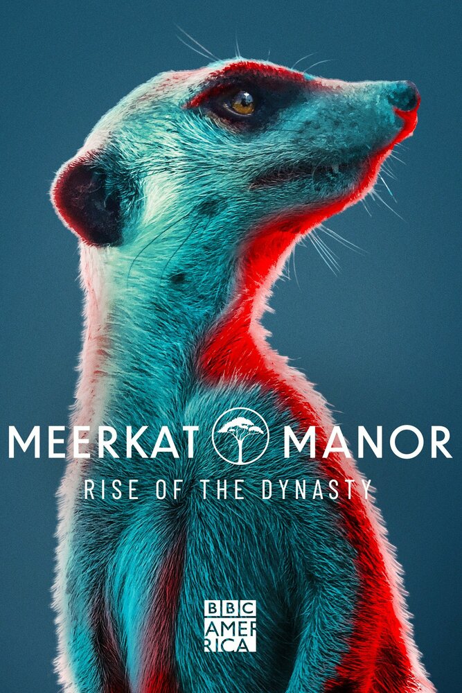 Смотреть Meerkat Manor: Rise of the Dynasty (2021) на шдрезка