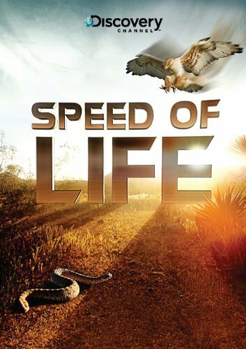 Смотреть Discovery: Скорость жизни (2010) онлайн в Хдрезка качестве 720p