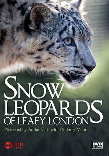 Смотреть Snow Leopards of Leafy London (2013) онлайн в Хдрезка качестве 720p