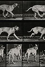 Смотреть Dog Running (1887) онлайн в HD качестве 720p
