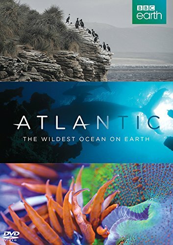 Смотреть Атлантика: Самый необузданный океан на Земле (2015) онлайн в Хдрезка качестве 720p