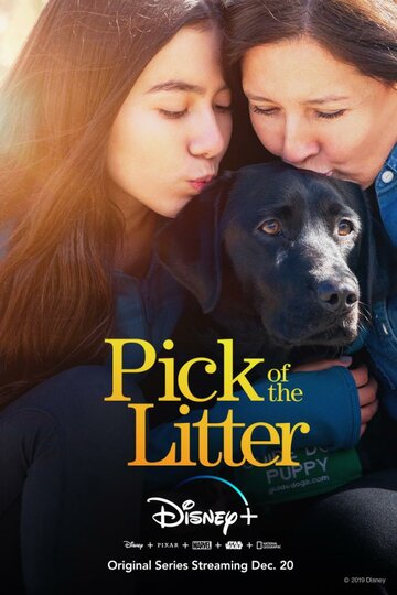 Смотреть Pick of the Litter (2019) онлайн в Хдрезка качестве 720p